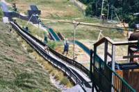 The Zip at Virginia's Wintergreen Resort