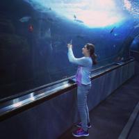 San Francisco's Aquarium of the Bay