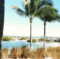 time to relax and rejuvenate in Florida's warmth