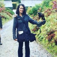 falconry at Ashford castle