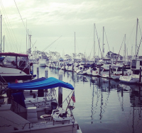 take a walk along the harbor in Dana Point