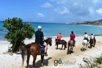 or explore the beaches on horseback