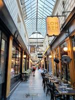 explore Paris' covered shop passages