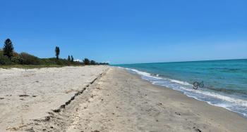unspoiled, uncrowded beaches of Manasota Key