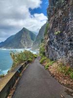 Madeira's early road infrastructure - now vastly improved!