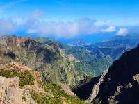 enjoy Madeira's rugged beauty (click any photo to enlarge)