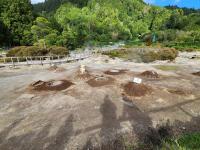 At Grena Park you can see the Cozida da Furnas cooking in the thermal vents