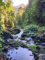 Grena Park in The Furnas Valley is a wonderful park for waterfalls, lush flowers and vegetation