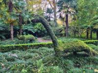 the apiary and botanical gardens are also worthy of a stroll to enjoy ~ Terra Nostra Garden Hotel