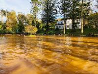 The iron rich thermal mineral pools at the Terra Nostra are a must to experience