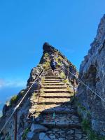 walk relaxed Levada's or climb Madeira's rugged beauty