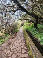 adventure along wonderful Levada's and forest views (click any pic to enlarge)