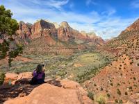 Zion's hiking views ~ from the Watchman Trail (click any photo to enlarge)