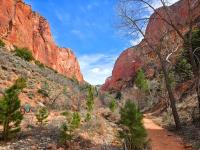 check out the Kolob Canyon Taylor Creek Middle Fork trail
