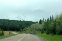 road trip driving games: photo by JSN