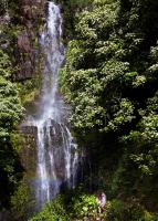 Maui's spectacular treasures