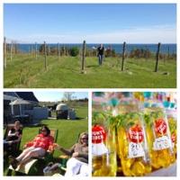 Wimeries of Prince Edward County