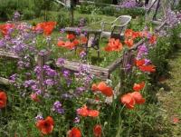 My Grandpa's Garden