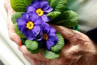 a clutch of flowers