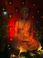 Buddha's wise oversight