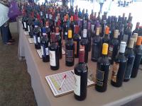 Wine Festival tasting