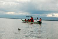 Abedare hippo safari