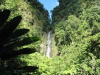 Dominica's Trafalgar Falls