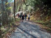 Clearing a Path for Travel