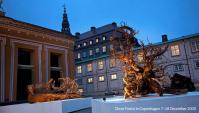 Ghost Forest Project